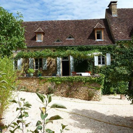 Hotel La Vignolle Saint-Amand-de-Coly Exterior foto